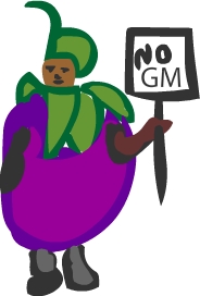 GM man dressed aas a GM aubergine